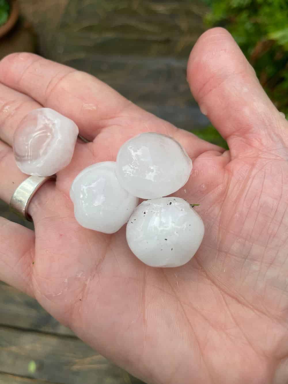 Hail Damage Roof Repair image